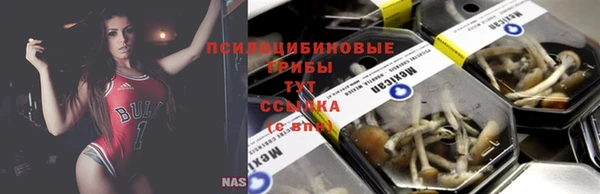 молекула духа Вязники