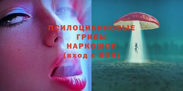 молекула духа Вязники