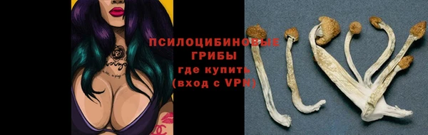 молекула духа Вязники