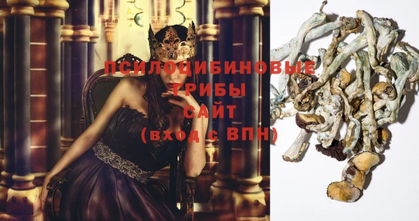 a pvp Вяземский