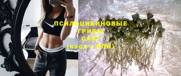 a pvp Вяземский