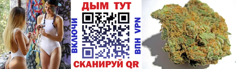 Шишки марихуана сатива  Новочеркасск 